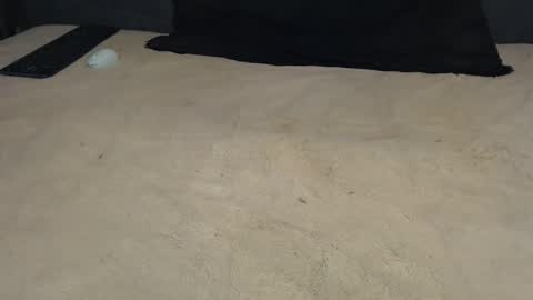 elgsslt online show from 03.17.26