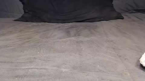 elgsslt online show from 04.04.26