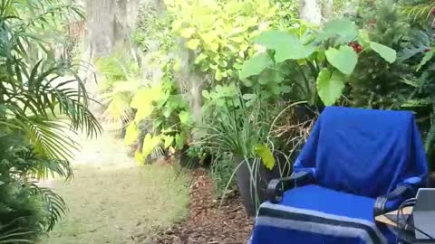 eliberator online show from 01.18.25