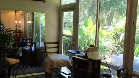 eliberator online show from 06.28.26