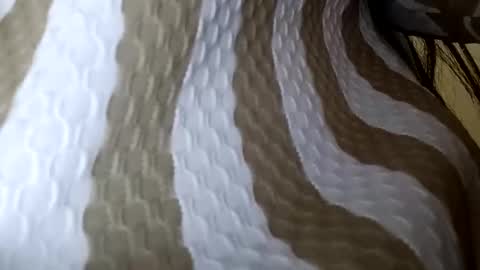 elina_roy03 online show from 12.01.25