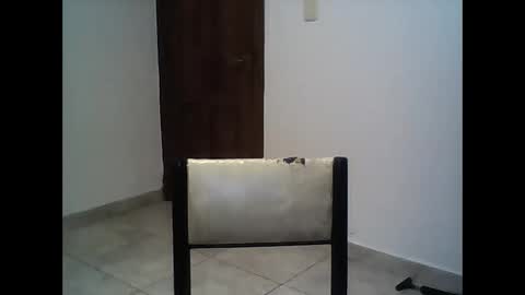 Snapshot of elirodd chatting on 01.27.25 Rod online show from 01.27.25