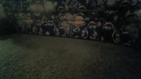 jeff online show from 11.13.25