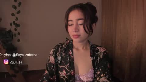 Snapshot of elizabethz chatting on 10.28.25 Tuli online show from 10.28.25