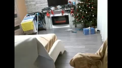 Snapshot of ellimol chatting on 02.07.25 EliMoL online show from 02.07.25