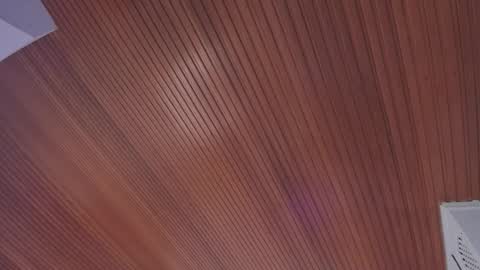 Elodie  online show from 02.14.26