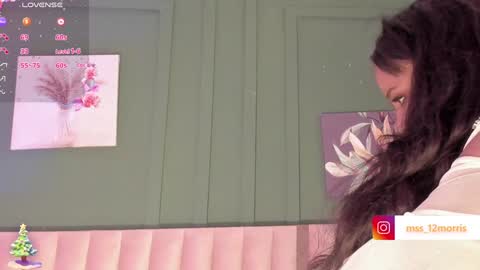 Snapshot of elsiemorriis chatting on 12.19.24 ELSIE online show from 12.19.24