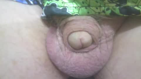 elvisandme online show from 03.12.25