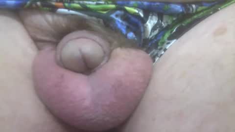 elvisandme online show from 10.20.25