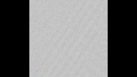 Ely online show from 10.01.25