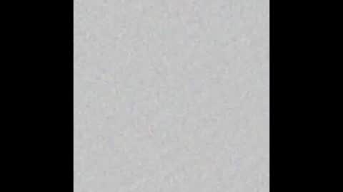 Ely online show from 10.03.25