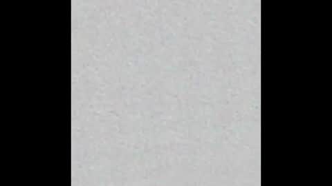 Ely online show from 10.06.25