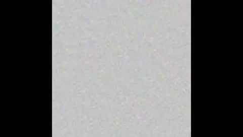 Ely online show from 10.08.25