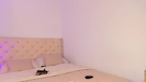 Michelle online show from 03.20.26