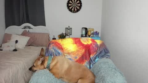 Ember Pheonixxx online show from 01.17.25