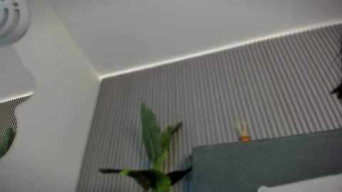 Snapshot of emelie_89 chatting on 06.06.26 emelie_89 online show from 06.06.26