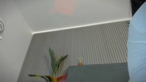 Snapshot of emelie_89 chatting on 07.15.26 emelie_89 online show from 07.15.26