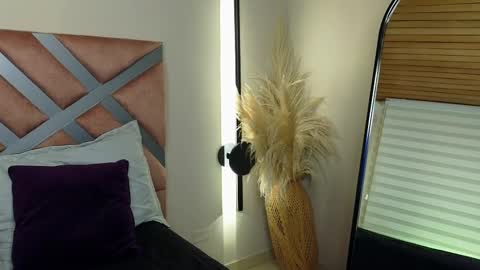 Snapshot of emely_brandon_ chatting on 02.14.25 anyelii online show from 02.14.25