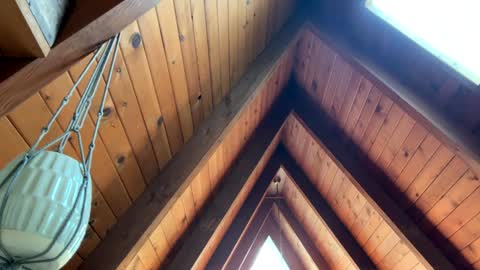 popalottapuss - puddin tits - daddy - buttercup - bonfire - Mrs. Fuck Yea - hibeams - honey buns - online show from 04.13.26