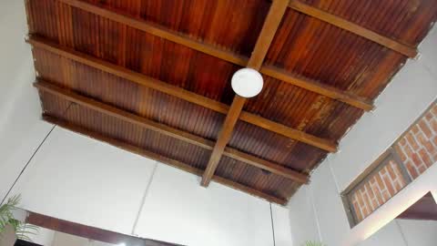 Emily  online show from 11.05.25