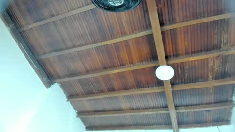 Emily  online show from 02.04.26