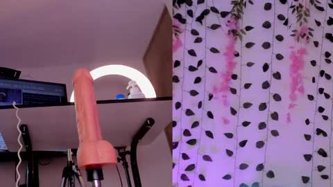 Snapshot of emily_montoya chatting on 01.26.25 Emily online show from 01.26.25