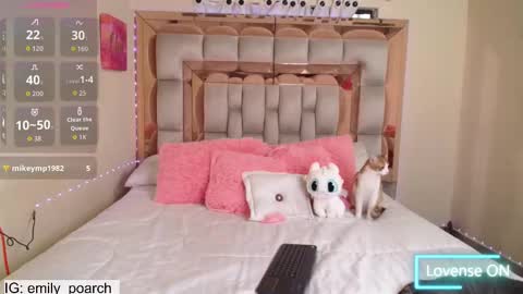 emily online show from 10.11.25