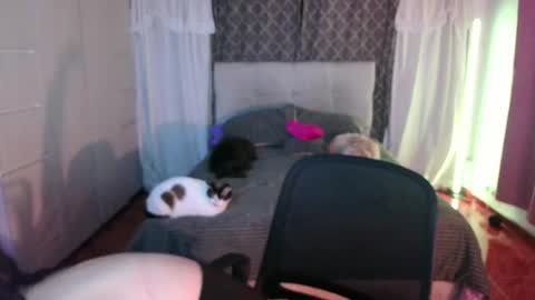 Emily  Swan online show from 04.26.26