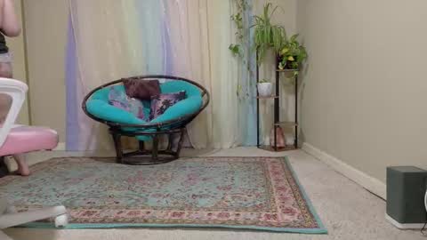 Snapshot of emilyshaze chatting on 10.24.25 emily haze online show from 10.24.25