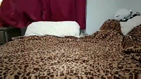 Snapshot of emilysparkss chatting on 11.03.25 emilysparkss online show from 11.03.25