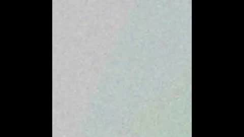 Emily wish-list  online show from 10.19.25