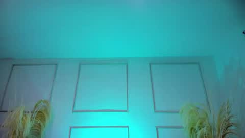 E M I L Y online show from 10.19.25