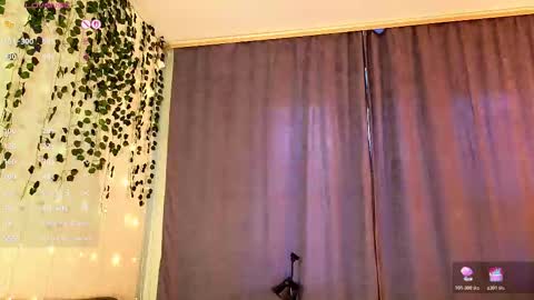 emimiy online show from 11.11.25