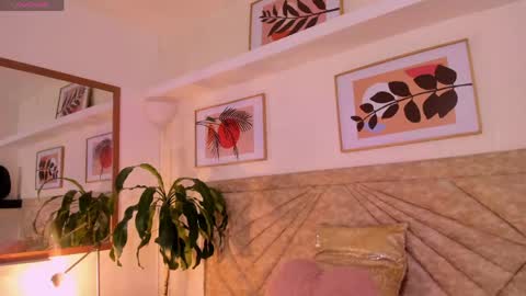           online show from 05.24.26