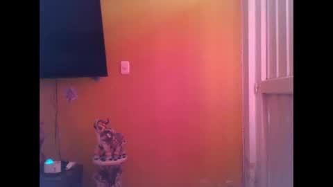 EmmaSplycer online show from 04.20.26