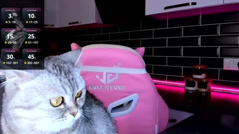 Shaiya online show from 01.17.25