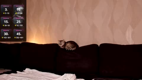 Shaiya online show from 03.02.25