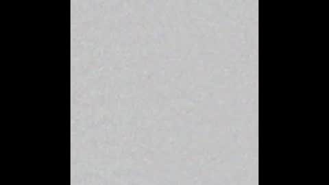 Emily online show from 10.13.25