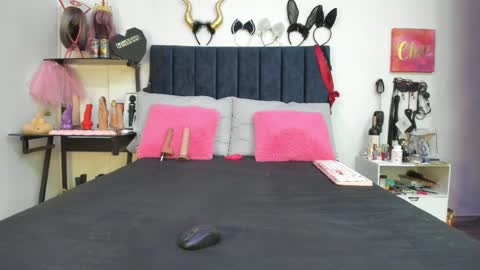          online show from 04.08.26