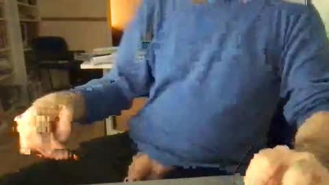 englefield online show from 12.15.24