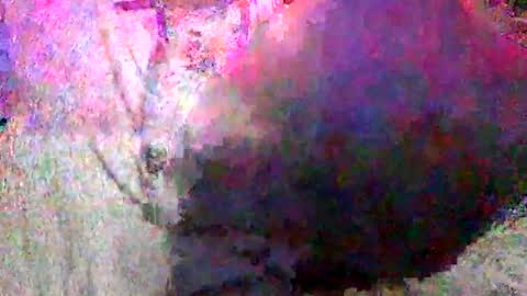 Batman online show from 01.18.25