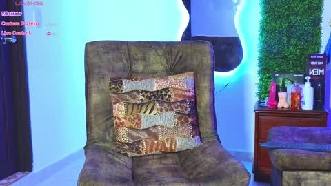 Snapshot of eric_harrison1 chatting on 12.31.24 Brayan online show from 12.31.24