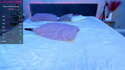 Snapshot of ericapreston chatting on 01.30.25 Erica online show from 01.30.25