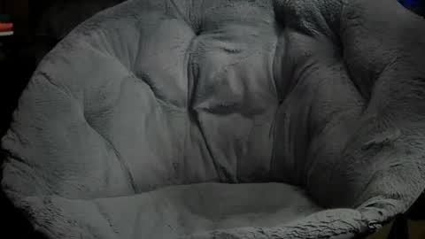 Snapshot of erik_plays_hockey chatting on 11.11.25 Erik plays hockey online show from 11.11.25