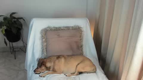 - E S T R E L L A  M I L F - online show from 10.06.25