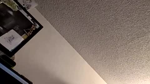 et528007 online show from 11.07.25