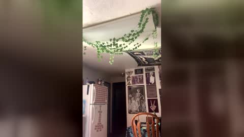 ethb0211 online show from 03.08.26