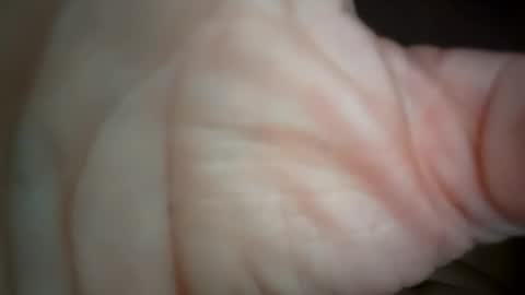 ethereumumm online show from 10.31.25