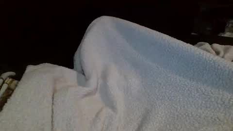 eu369033 online show from 02.25.26