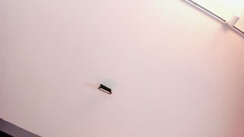 EVA  online show from 01.15.25